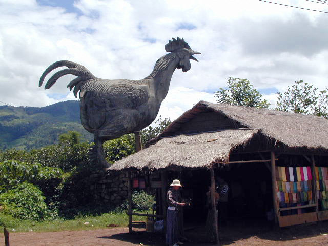 chicken village